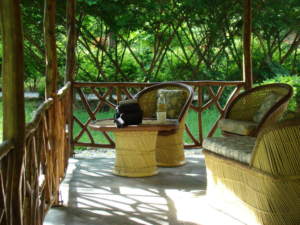 Hotel Jim'S Jungle Retreat Rāmnagar Habitación foto