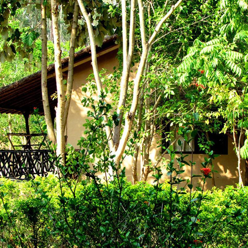 Hotel Jim'S Jungle Retreat Rāmnagar Exterior foto